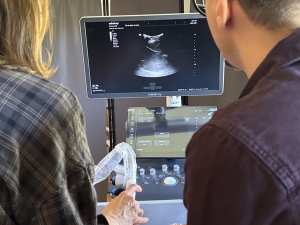 ULTRASONOGRAFIA W MEDYCYNIE RODZINNEJ PŁUCA I JAMA BRZUSZNA
