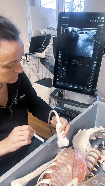 SZKOLENIE ULTRASONOGRAFIA W STANACH NAGŁYCH