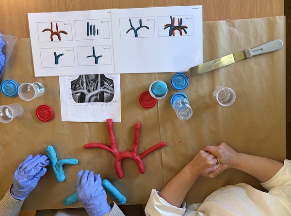 ULTRASONOGRAFIA ŻYŁ KOŃCZYN DOLNYCH